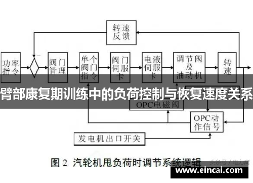 臂部康复期训练中的负荷控制与恢复速度关系